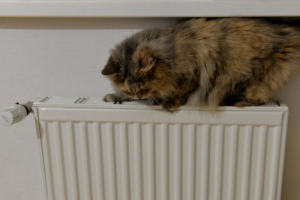 Когда в вашем доме станет тепло. Публикуем этапы начала нового отопительного сезона