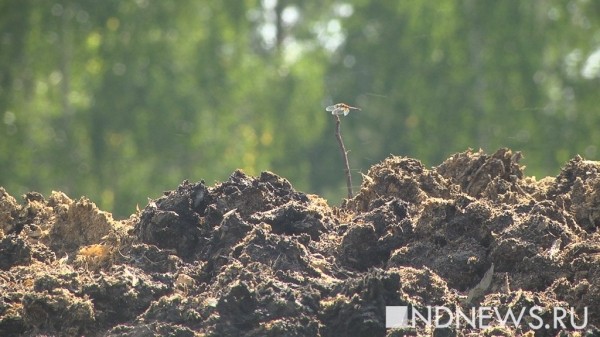 Год Высокинского, новый конфуз Силина и старая &laquo;уголовка&raquo; Ковальчика &ndash; итоги недели (ФОТО, ВИДЕО)