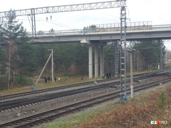 «Стеной проходим территорию, ворошим тряпки»: волонтеры ищут пропавшую Ксению Каторгину