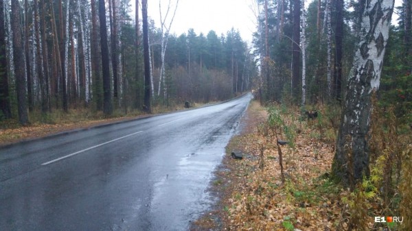 «Стеной проходим территорию, ворошим тряпки»: волонтеры ищут пропавшую Ксению Каторгину