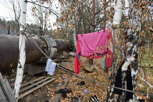 «Стеной проходим территорию, ворошим тряпки»: волонтеры ищут пропавшую Ксению Каторгину