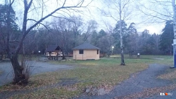 «Стеной проходим территорию, ворошим тряпки»: волонтеры ищут пропавшую Ксению Каторгину