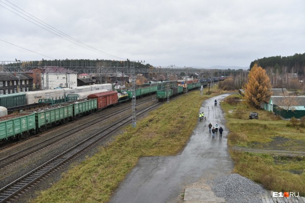 «Стеной проходим территорию, ворошим тряпки»: волонтеры ищут пропавшую Ксению Каторгину