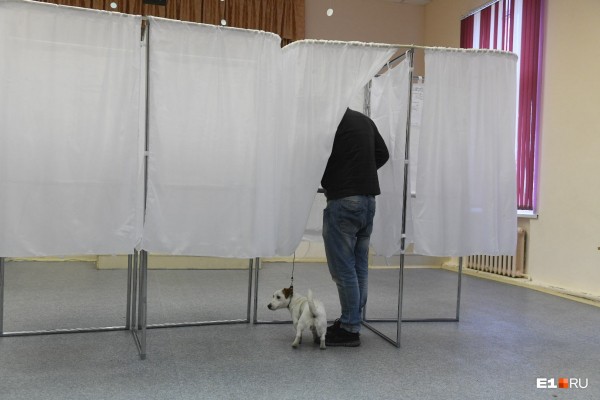 Работа кипит! В мэрии считают голоса по опросу за место под храм святой Екатерины