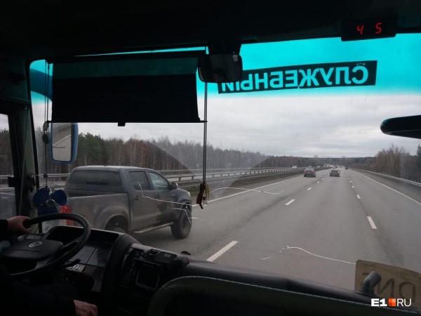 «Стеной проходим территорию, ворошим тряпки»: волонтеры ищут пропавшую Ксению Каторгину