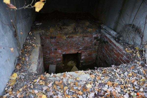 «Стеной проходим территорию, ворошим тряпки»: волонтеры ищут пропавшую Ксению Каторгину