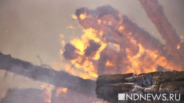 Под Екатеринбургом сгорело 5 га сухой травы, под угрозой оказался поселок Палкино