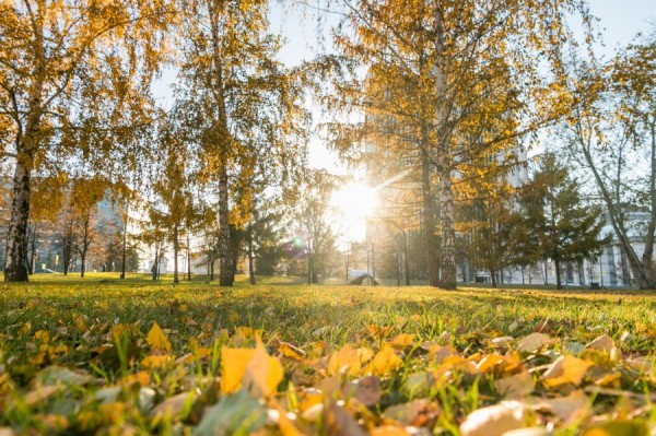 Екатеринбург ожидает сильный ветер в середине рабочей недели