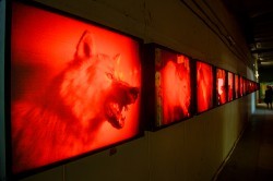 Биеннале современного искусства открылась в Екатеринбурге