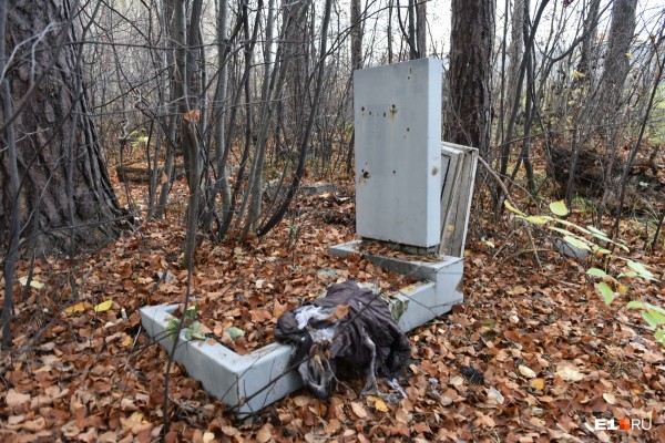 «Стеной проходим территорию, ворошим тряпки»: волонтеры ищут пропавшую Ксению Каторгину