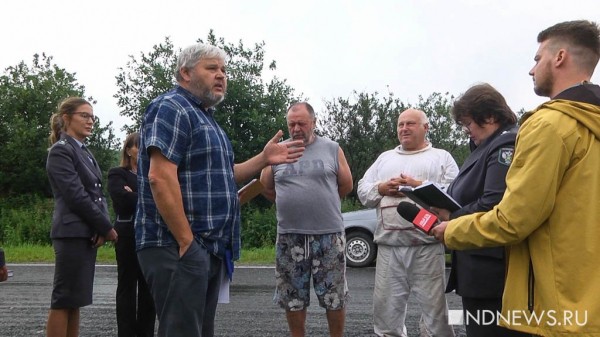 На Урале массово гибнут пчелы. Владельцы пасек подозревают, что насекомых отравили (ФОТО, ВИДЕО)