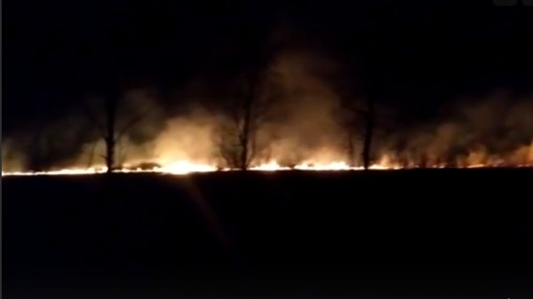 Под Екатеринбургом сгорело 5 га сухой травы, под угрозой оказался поселок Палкино