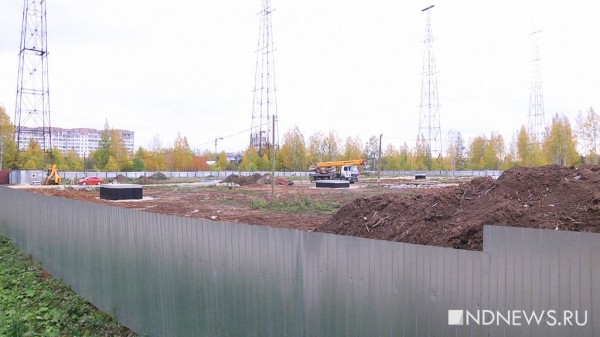 Срубили 800 деревьев и строят телевышку – жители Уралмаша судятся с застройщиком (ФОТО, ВИДЕО)