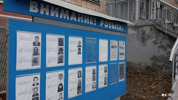 «Стеной проходим территорию, ворошим тряпки»: волонтеры ищут пропавшую Ксению Каторгину