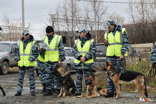 «Стеной проходим территорию, ворошим тряпки»: волонтеры ищут пропавшую Ксению Каторгину