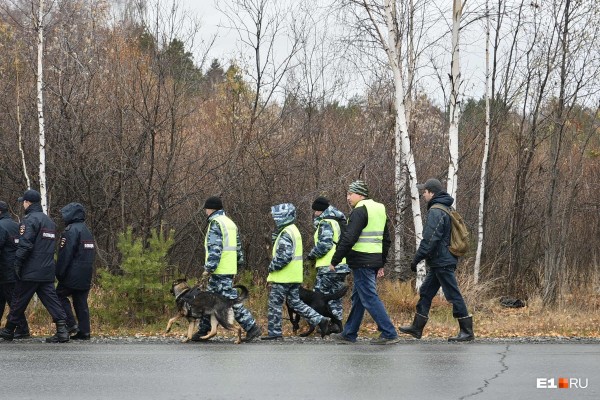 «Стеной проходим территорию, ворошим тряпки»: волонтеры ищут пропавшую Ксению Каторгину