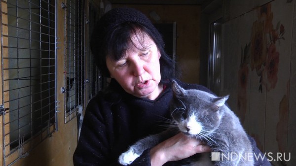 «Ломаные кости, оторванные лапы и выколотые глаза», – в «Кляксе» рассказали, каких животных приходится спасать от верной гибели (ФОТО, ВИДЕО) «Ломаные кости, оторванные лапы и выколотые глаза», – в «Кляксе» рассказали, каких животных приходится спасать от верной гибели (ФОТО, ВИДЕО)