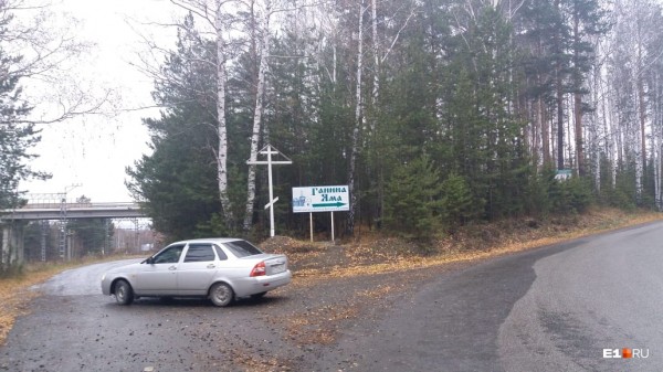 «Стеной проходим территорию, ворошим тряпки»: волонтеры ищут пропавшую Ксению Каторгину