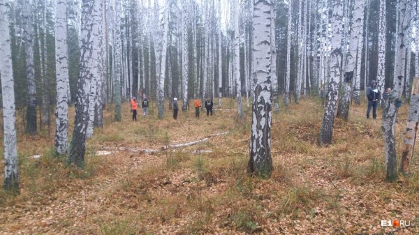 «Стеной проходим территорию, ворошим тряпки»: волонтеры ищут пропавшую Ксению Каторгину