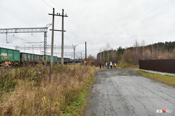 «Стеной проходим территорию, ворошим тряпки»: волонтеры ищут пропавшую Ксению Каторгину
