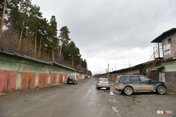 «Стеной проходим территорию, ворошим тряпки»: волонтеры ищут пропавшую Ксению Каторгину