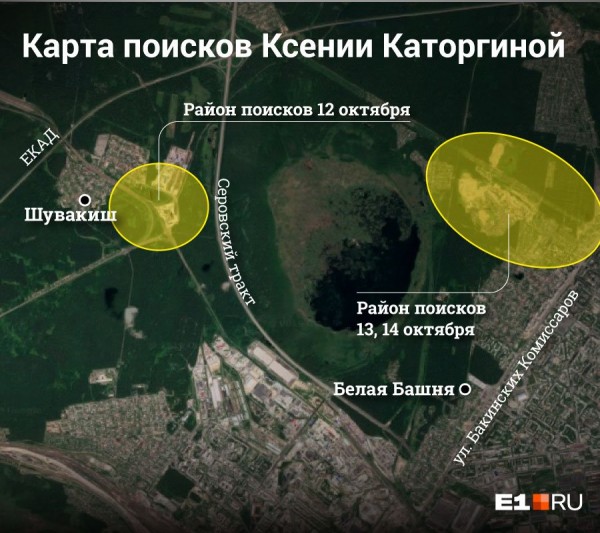 «Стеной проходим территорию, ворошим тряпки»: волонтеры ищут пропавшую Ксению Каторгину