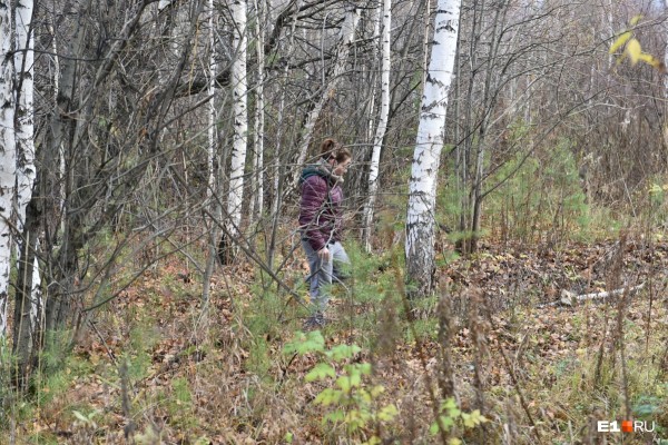 «Стеной проходим территорию, ворошим тряпки»: волонтеры ищут пропавшую Ксению Каторгину
