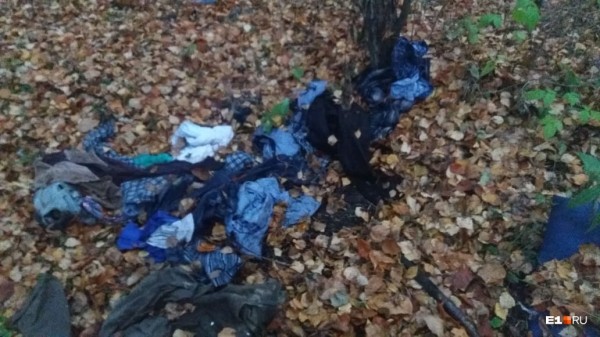 «Стеной проходим территорию, ворошим тряпки»: волонтеры ищут пропавшую Ксению Каторгину