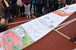 Спорт в массы: Екатеринбург прирастает новыми многофункциональными площадками Спорт в массы: Екатеринбург прирастает новыми многофункциональными площадками