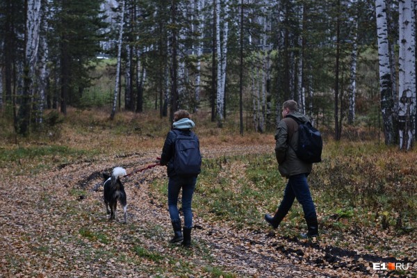 «Стеной проходим территорию, ворошим тряпки»: волонтеры ищут пропавшую Ксению Каторгину