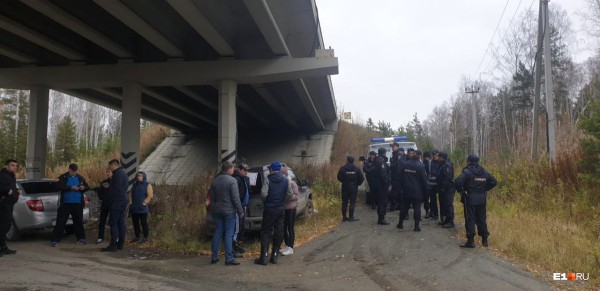 «Стеной проходим территорию, ворошим тряпки»: волонтеры ищут пропавшую Ксению Каторгину