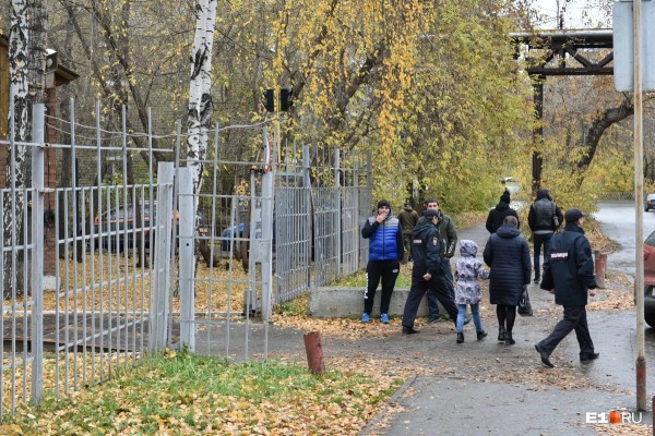 «Стеной проходим территорию, ворошим тряпки»: волонтеры ищут пропавшую Ксению Каторгину