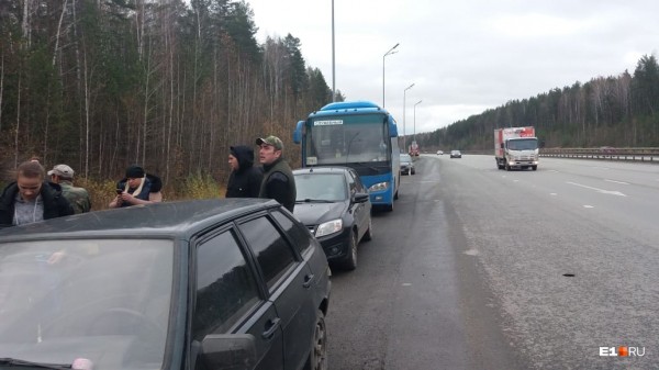 «Стеной проходим территорию, ворошим тряпки»: волонтеры ищут пропавшую Ксению Каторгину