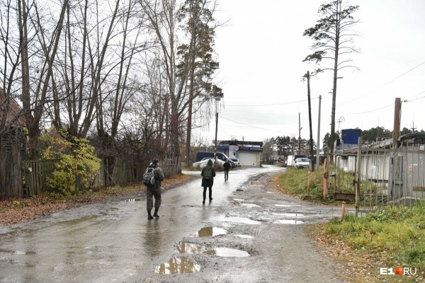 «Стеной проходим территорию, ворошим тряпки»: волонтеры ищут пропавшую Ксению Каторгину