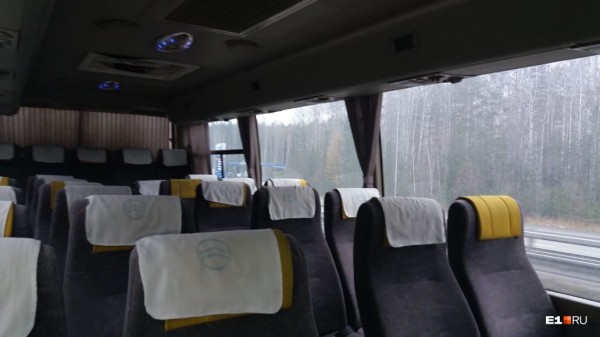 «Стеной проходим территорию, ворошим тряпки»: волонтеры ищут пропавшую Ксению Каторгину