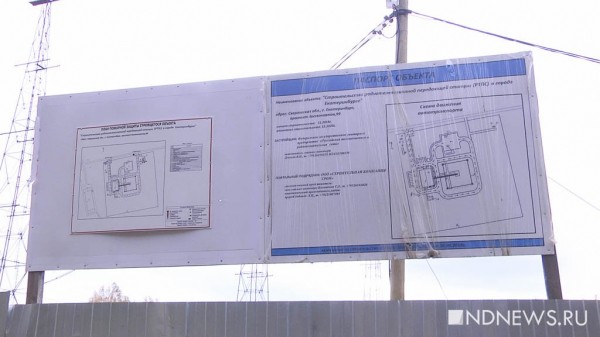 Срубили 800 деревьев и строят телевышку – жители Уралмаша судятся с застройщиком (ФОТО, ВИДЕО)