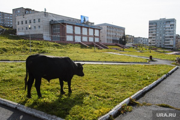 Уральские ученые нашли аномалии на месте самого сильного землетрясения века. ФОТО