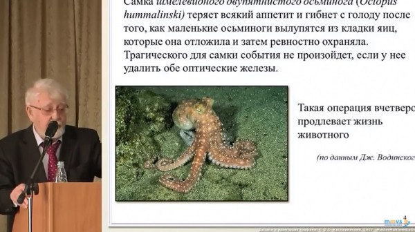 «Я сам 5 лет пью и вижу молодежные сны», – 82-летний изобретатель лекарства от старости рассказал, когда оно появится в продаже (ФОТО)