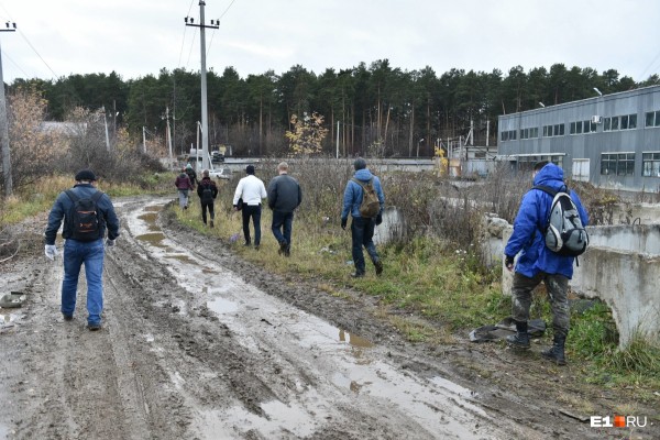 «Стеной проходим территорию, ворошим тряпки»: волонтеры ищут пропавшую Ксению Каторгину