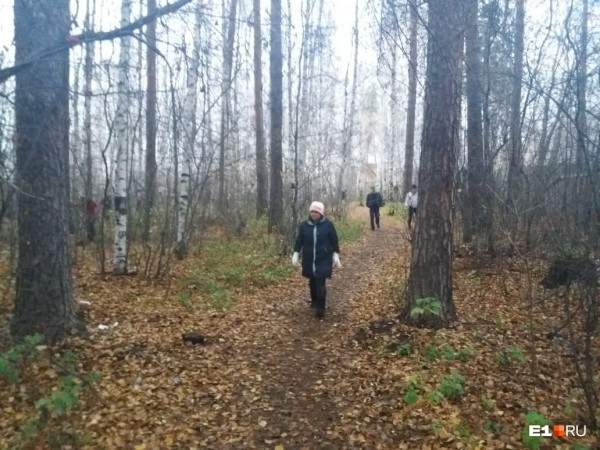 «Стеной проходим территорию, ворошим тряпки»: волонтеры ищут пропавшую Ксению Каторгину