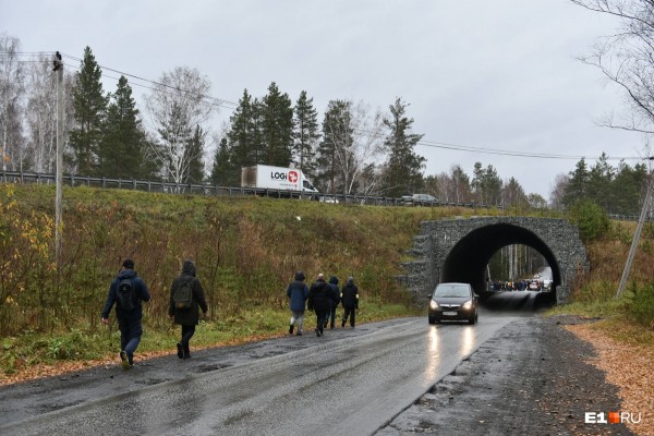 «Стеной проходим территорию, ворошим тряпки»: волонтеры ищут пропавшую Ксению Каторгину