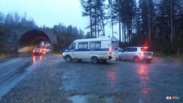 «Стеной проходим территорию, ворошим тряпки»: волонтеры ищут пропавшую Ксению Каторгину