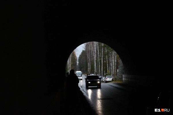 «Стеной проходим территорию, ворошим тряпки»: волонтеры ищут пропавшую Ксению Каторгину