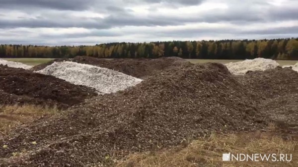 &laquo;Мучаемся от вони и нашествия мух, нас уверяют, что у нас все хорошо&raquo;, &ndash; на Урале еще одна деревня восстала против соседства с птицефабрикой, навалившей горы помета на полях (ФОТО, ВИДЕО)