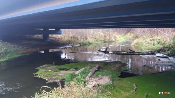 «Стеной проходим территорию, ворошим тряпки»: волонтеры ищут пропавшую Ксению Каторгину