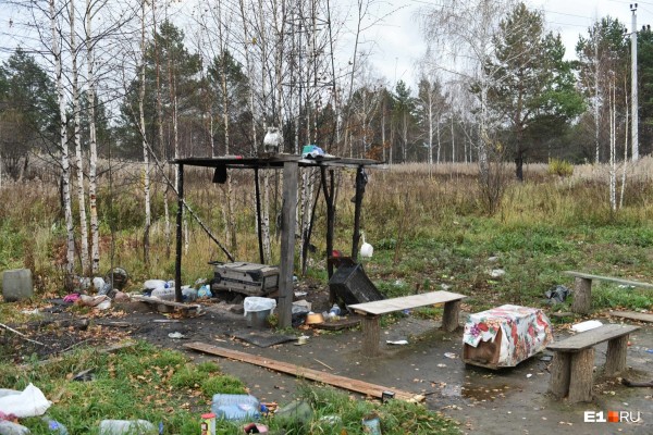 «Стеной проходим территорию, ворошим тряпки»: волонтеры ищут пропавшую Ксению Каторгину