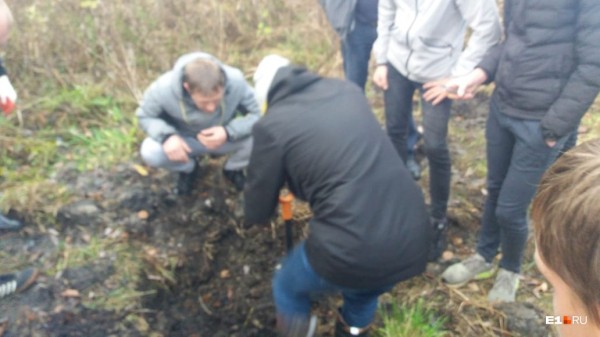 «Стеной проходим территорию, ворошим тряпки»: волонтеры ищут пропавшую Ксению Каторгину