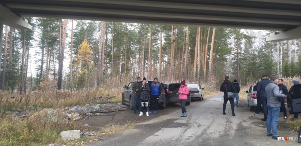 «Стеной проходим территорию, ворошим тряпки»: волонтеры ищут пропавшую Ксению Каторгину