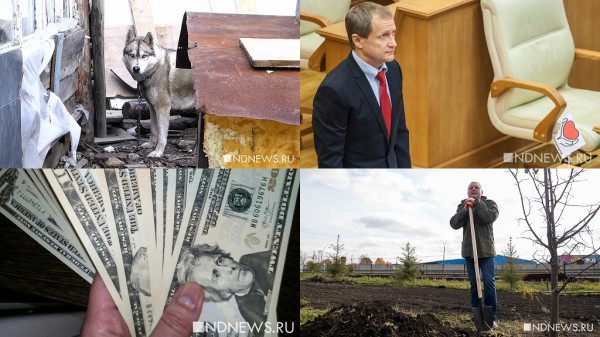 &laquo;Храмовые&raquo; разнарядки, чиновники-копатели и девочки в баню для депутата &ndash; итоги недели РИА &laquo;Новый День&raquo; (ФОТО, ВИДЕО)