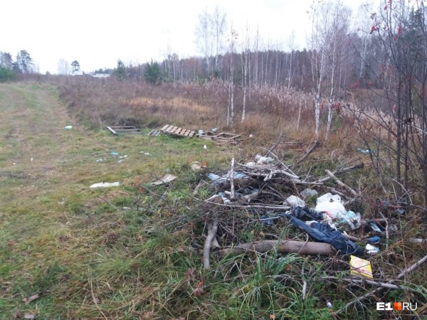 «Стеной проходим территорию, ворошим тряпки»: волонтеры ищут пропавшую Ксению Каторгину